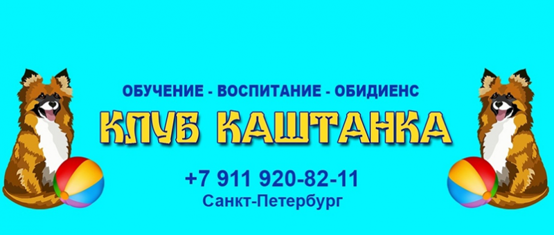 Каштанка 1